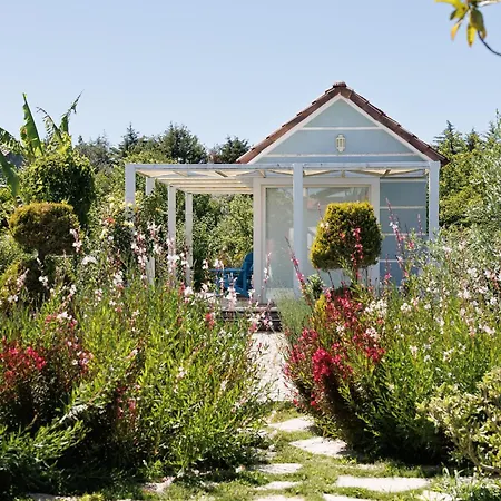 Gadura Kir Evleri 울라